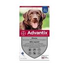 Advantix grand chien (25 - 40 kg) - 4 pipettes