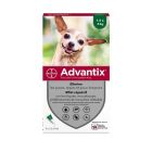 Advantix très petit chien (1,5-4 kg) - 4 pipettes