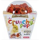 Zolux Crunchy Pop Carotte rongeurs 43 g