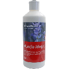 Hilton Herbs Muscle Magic pour chevaux 250 ml - Dogteur