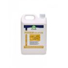 Audevard Povidum Solution Spray 5 Litres