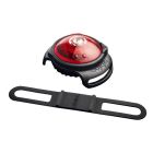 Orbiloc collier lumineux rouge pour chien