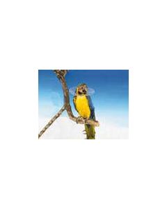 Buster Carcan de protection pour oiseaux - 20 cm