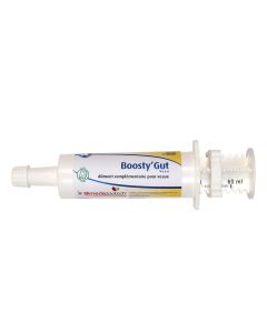 Boosty' Gut seringue 60 ml