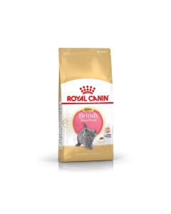 Royal Canin British Shorthair Kitten 2 kg- La Compagnie des Animaux