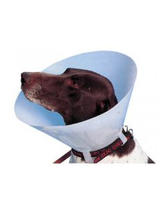 Carcan classique pour chiens et chats - 30 cm - La compagnie des animaux