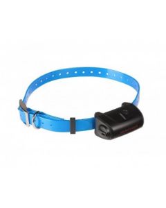 Collier seul Canicom 5 avec sangle bleu - La Compagnie des Animaux