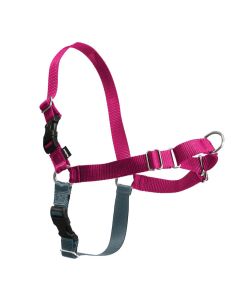 Easy Walk Harnais S framboise - La Compagnie des Animaux