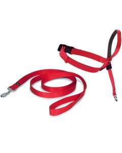 Easy Walk Licol Chien rouge S - Dogteur