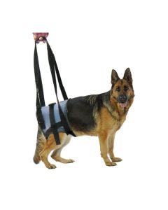 Harnais Handy Canis pour chien paralysé