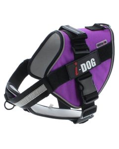 I-DOG Harnais NeoCITY Violet/Gris S - La Compagnie des Animaux