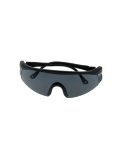 Eyenimal Lunettes de Protection Verres Fumés