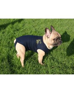 Medical Pet Shirt Chien XXXS