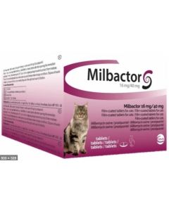 Milbactor Chat + de 2kg 2 cps