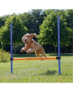 Trixie Obstacle Agility