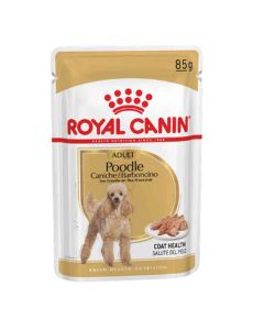 Royal Canin Caniche Adult mousse 12 x 85 g