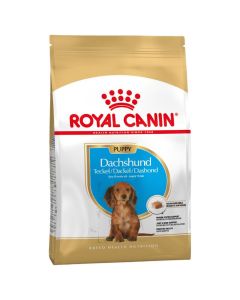 Royal Canin Teckel Junior 1.5 kg - La Compagnie des Animaux