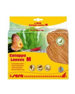 Sera Catappa Leaves Feuilles de badamier M