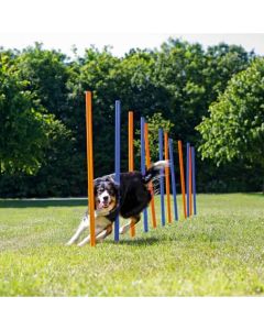 Trixie Slalom Agility