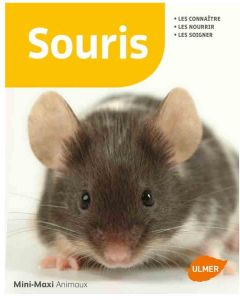 Livre - Souris