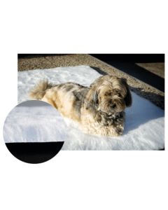 Tapis-Moquette Anti Escarres pour Chien 50 x 50 cm