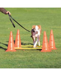 Trixie Obstacles set 2 pcs - La Compagnie des Animaux