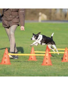 Trixie Obstacles set 3 pcs - La Compagnie des Animaux