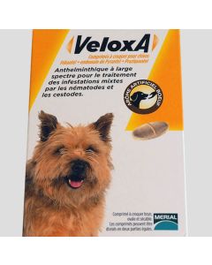 Veloxa Chien 4 cps