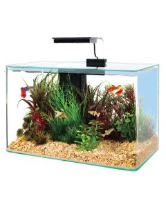 Zolux Aquarium Aqua Clear 40 noir