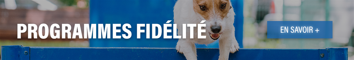 Dogteur - Programmes fidelité