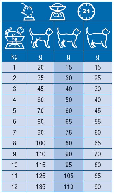 Specific FKD Kidney Support